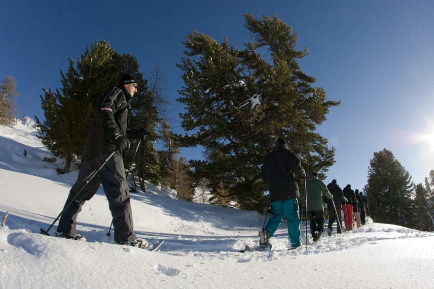 La Foret With Spectacular Mountain Views Nendaz